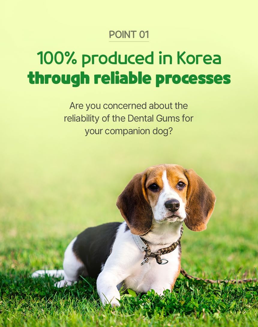 SSOMDALPET Chap Chap Dental Gum for Dogs, 30 Chews | Soft & Chewy, Dental Care Treat, Large Pack, Joint & Bone, Eye & Skin, Gut & Probiotics Options (30 Count, Joint & Bone (Green/Apple))