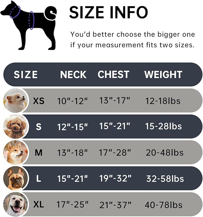 IVY&LANE No Pull Dog Harness for Large Dogs, Dog Vest Harness with Leash, Safety Belt and Storage Strap, Fully Adjustable Harness, 360° Reflective Strip, Soft Handle (Black, XL)