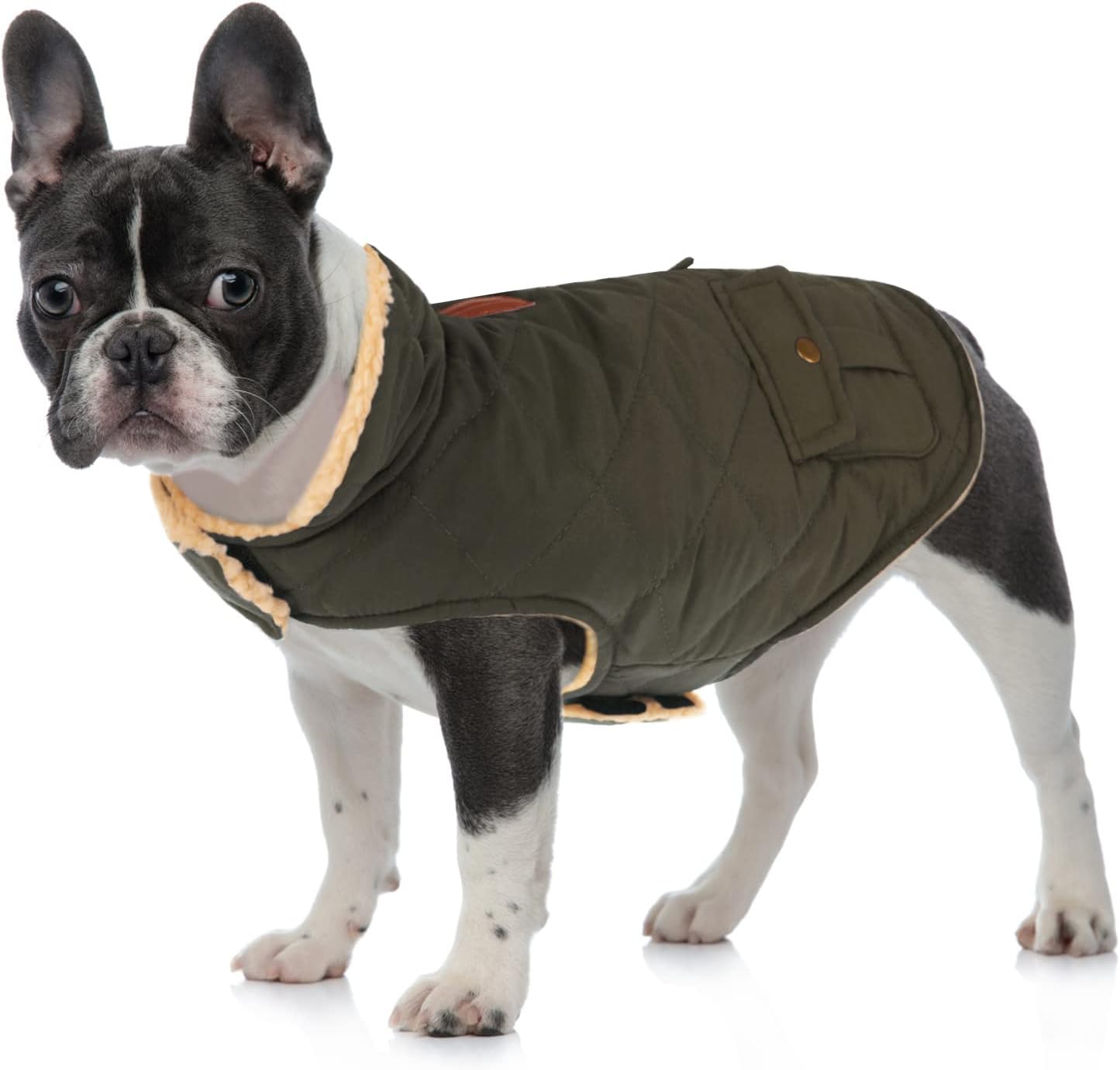 Queenmore Warm Dog Coat, Cold Weather Puffer Dog Jacket with Ultra Thick Plush Lining, Storage Pockets (Green, Large)