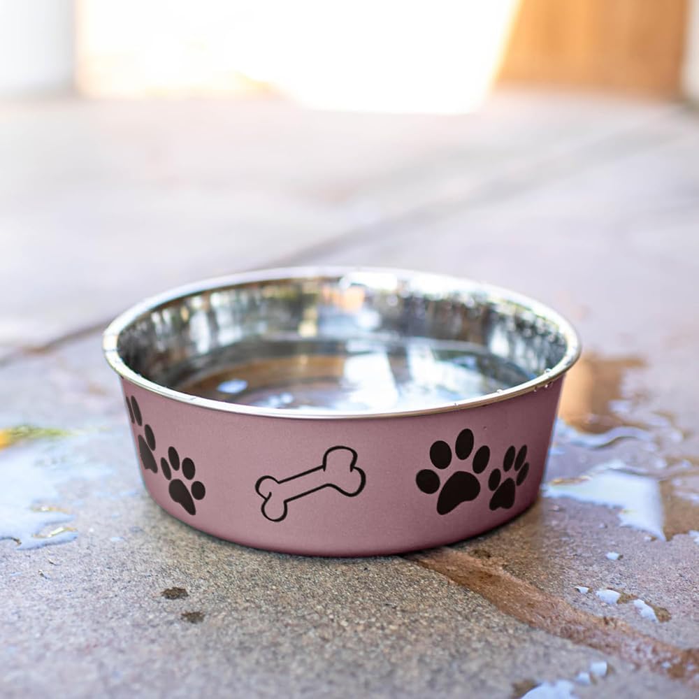 Loving Pets Bella Dog Bowls- Stainless Steel Dog & Cat Bowls - Spill Proof Dog Food Bowl, Cat Bowl, Puppy Essentials & Pet Supplies Great for Home & Travel (Large 35-65 lbs, Grape)