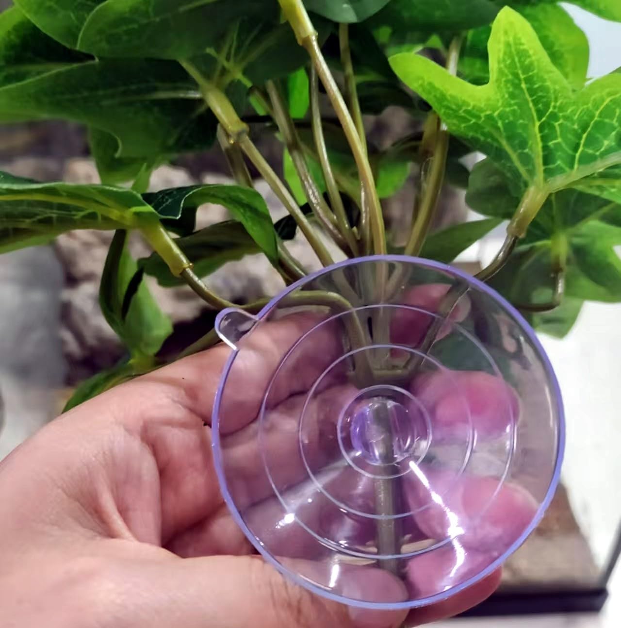 Reptile Plants for Terrarium Decor, Amphibian Habitat Decor, Reptile Tank Accessories, Artificial Hanging Plants with Suction Cup-2 Packs (Sweet Potato Vine)