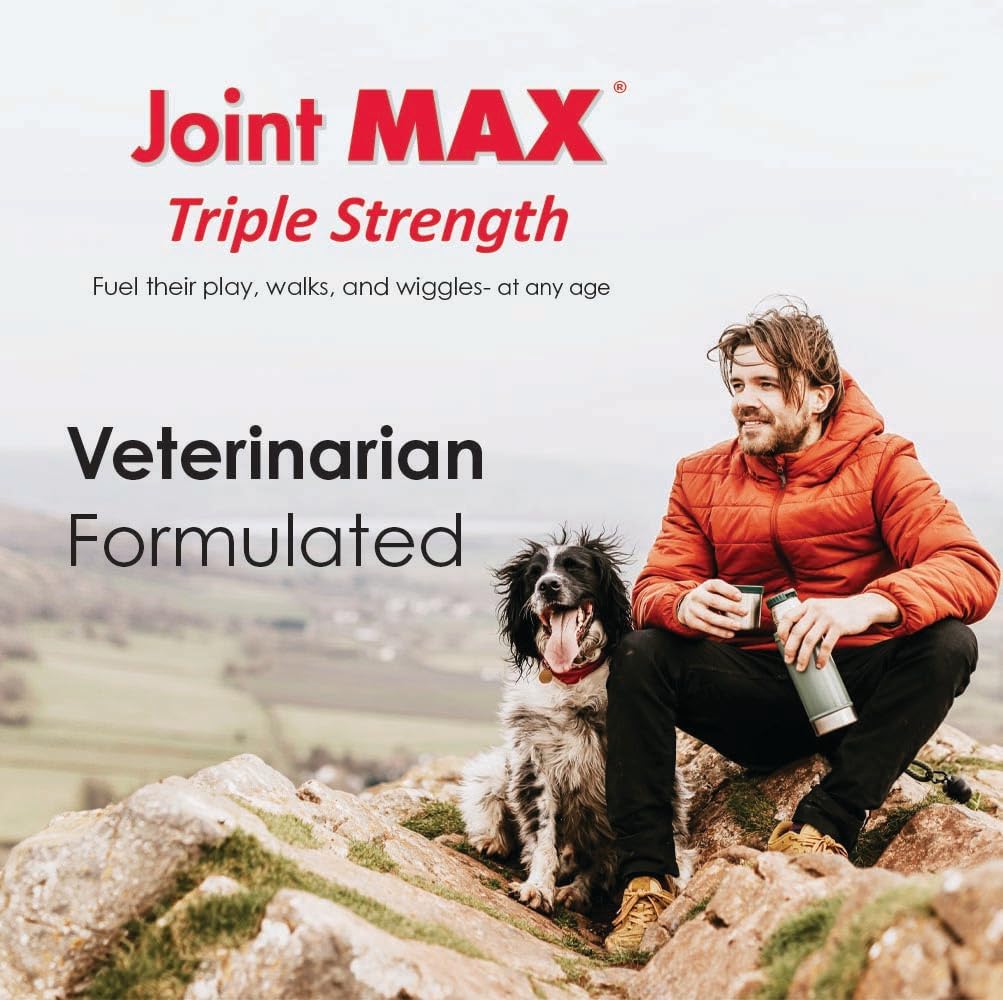 TS Joint Supplement Vet Formulated Pain & Inflammation Relief Treats Hip Dysplasia & Arthritis, Glucosamine, Chondroitin, Turmeric, MSM, HA, Creatine, Omega 3 EPA + DHA.120 Soft Chews