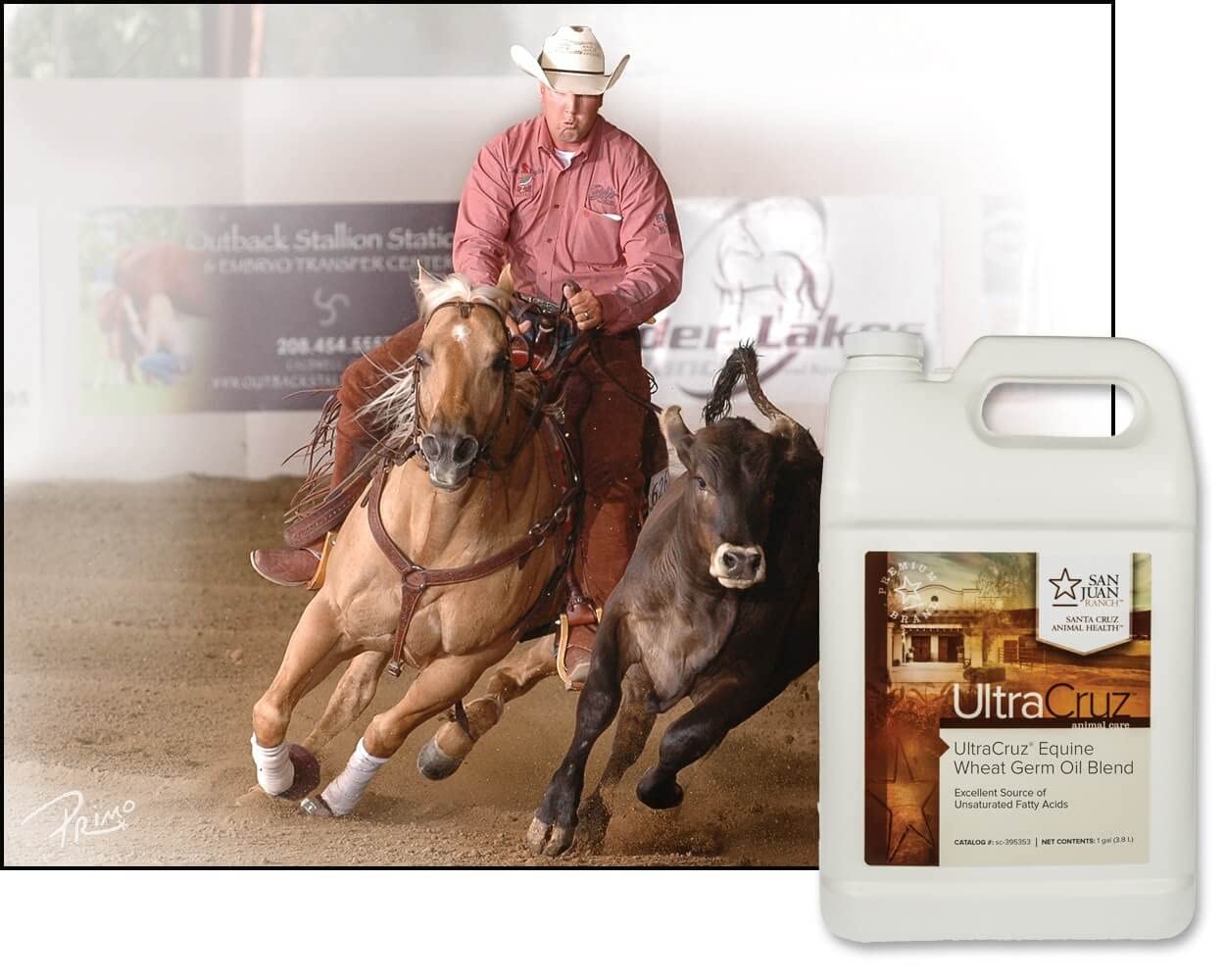UltraCruz® Equine Wheat Germ Oil Blend, 1 Gallon