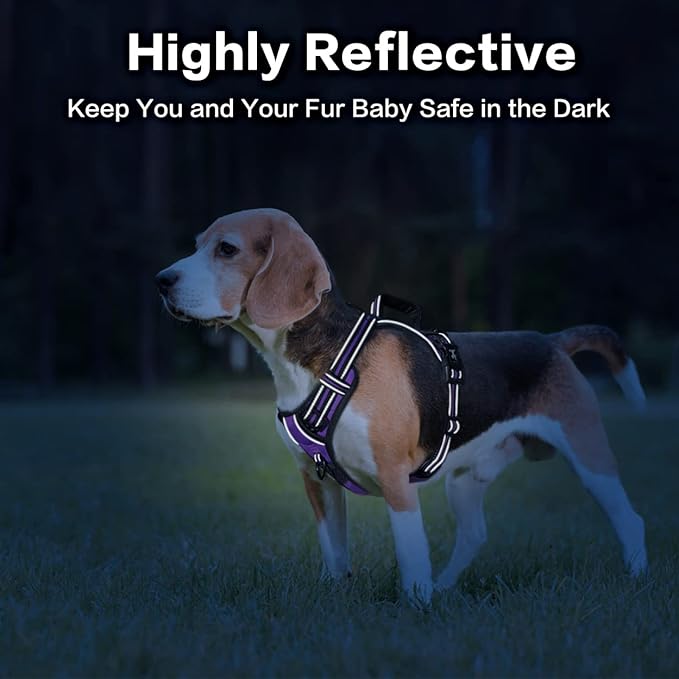 PoyPet No Pull Dog Harness, No Choke Front Clip Reflective Dog Vest with Soft Padded Vertical Handle, 3 Leash Attachments for Small Medium Large Dogs (Purple,M)