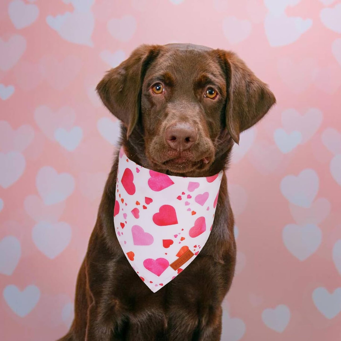 PTDECOR Valentine Dog Bandana, White Purple Love Heart Design Reversible Dog Scarf, Triangle Valentine Bandanas for X-Large Pets (X-Large)