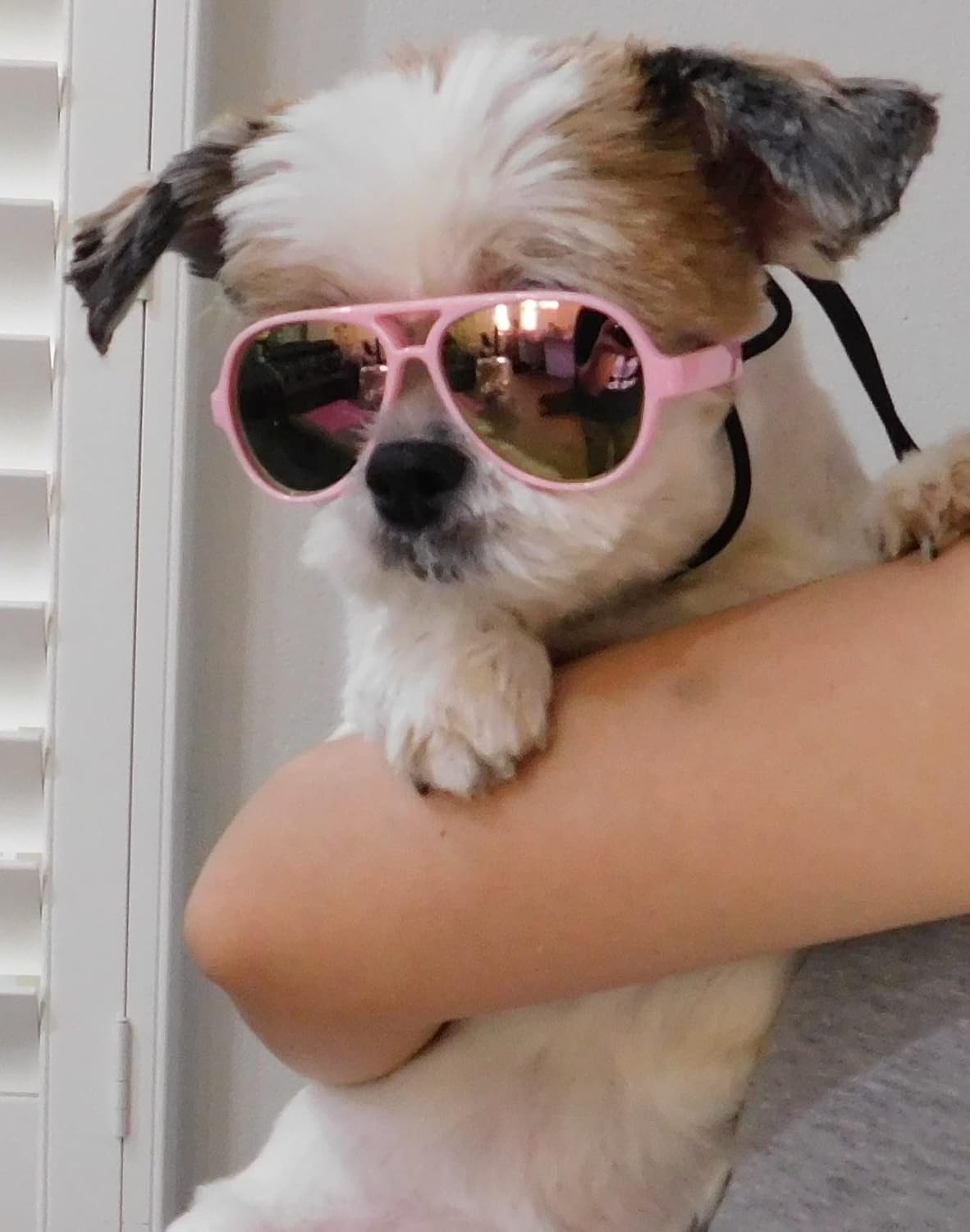 G029 Dog Cat Pet Aviator Sunglasses Glasses for Small Breeds up to 15lbs (Pink-Pink Mirror)