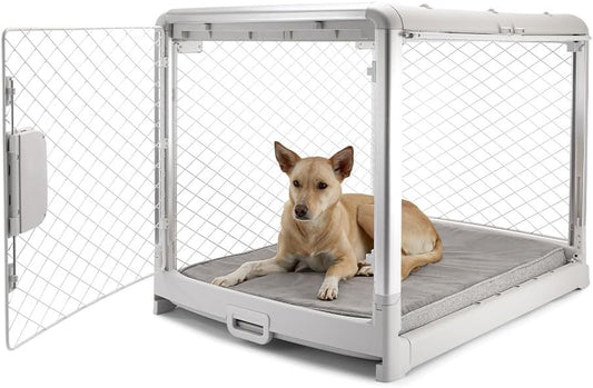 DIGGS Revol Collapsible Dog Crate with Wheels - Premium Portable Dog Crate - Safe, Stylish, and Convenient Indoor Kennel (Ash, Intermediate)