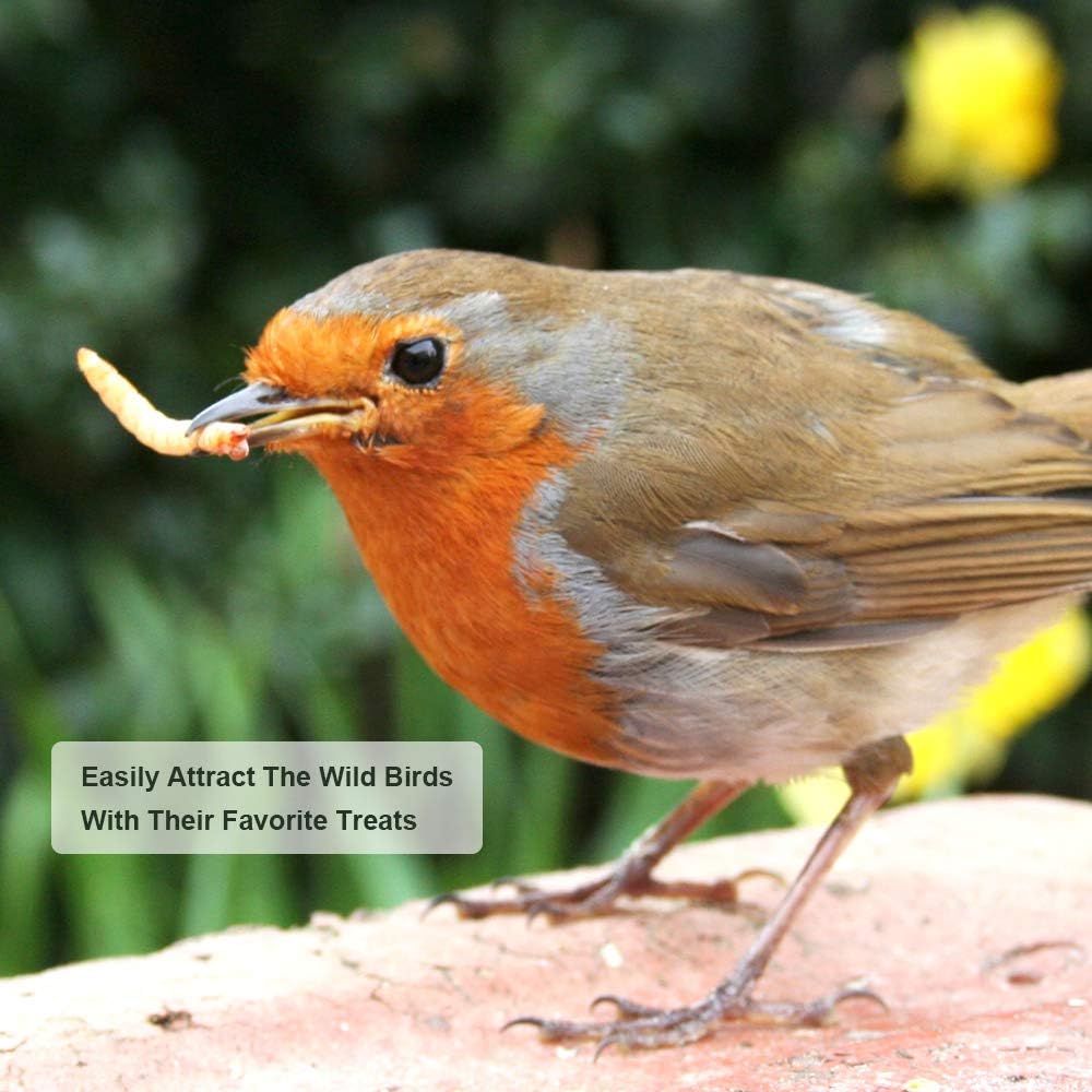 10lbs Mealworms, High-Protein Dried Mealworms for Birds, Chickens, Turtles, Fish, Hamsters and Hedgehogs, Non-GMO and Chemical Free, All Natural Animal Feed