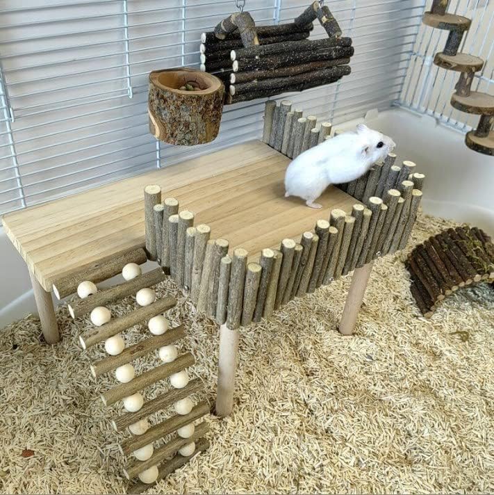 Tnfeeon Hamster with Climbing Ladder, Guinea Pig Toys Chinchilla Perch Cage Accessories Toy Wooden Play Gym Stand for Hamsters Squirrel Guinea Pig