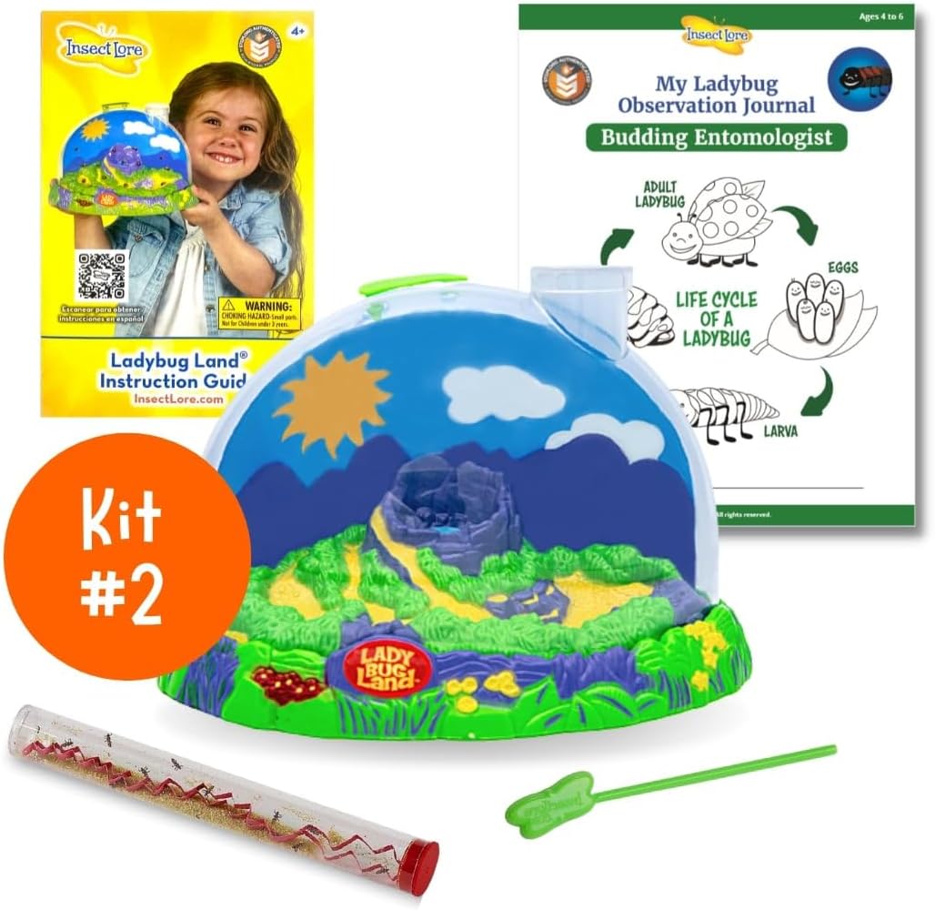 Insect Lore Bug Camp Bundle | Butterfly Kit with 1 Cup Live Caterpillars | Ladybug Land with 1 Tube Live Larvae | Ant Mountain with 1 Tube Live Western Harvester Ants | Life Cycle Figurines & More