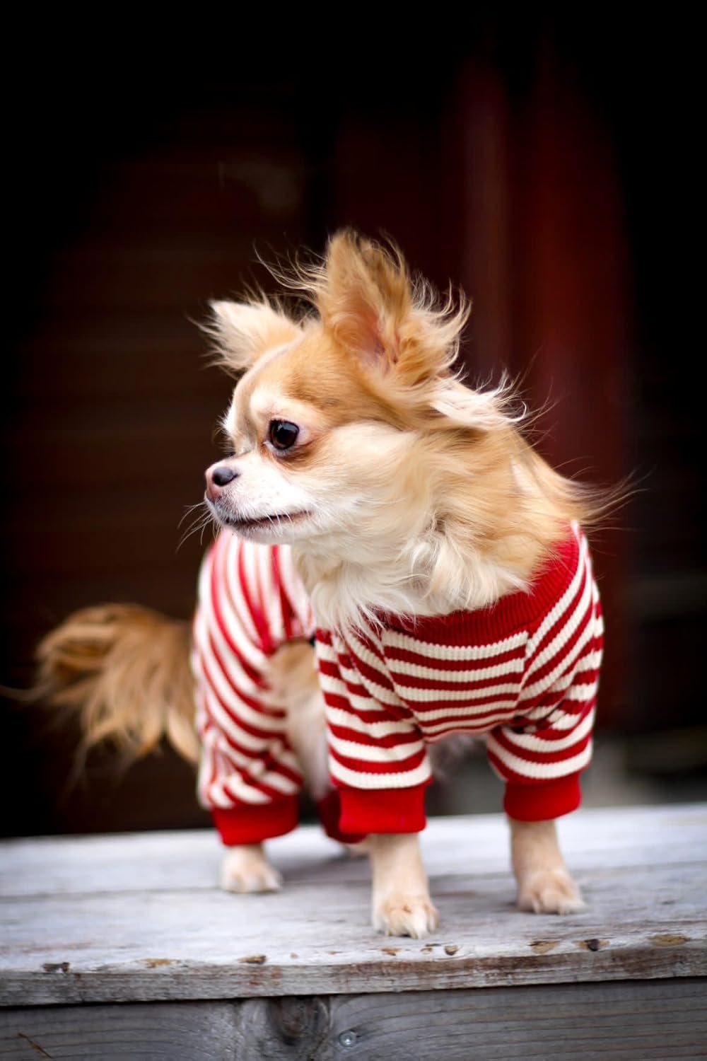 Fitwarm Red and White Striped Dog Pajamas, Waffle Dog Clothes for Small Dogs Girl Boy, Puppy Onesie with Feet, Pet Christmas Outfit, Small