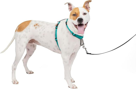 PetSafe 3 in 1 Dog Harness - No Pull Solution for Dogs - Reflective Dog Harness - Front D-Ring Clip Helps Stop Pulling - Comfortable Padded Straps - Top Handle Enhances Control - Teal - Medium