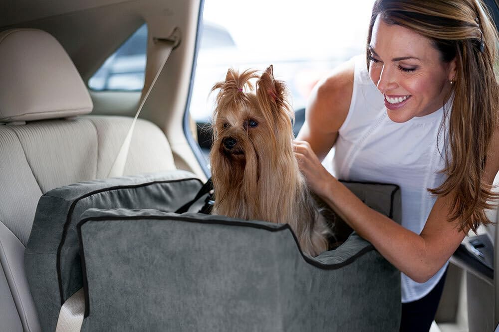 Snoozer Lookout I Dog Car Seat - Small Dog & Puppy Car Seat, Booster Bed for Small & Medium Size Pets up to 25 Lbs, Elevated, Washable - Medium