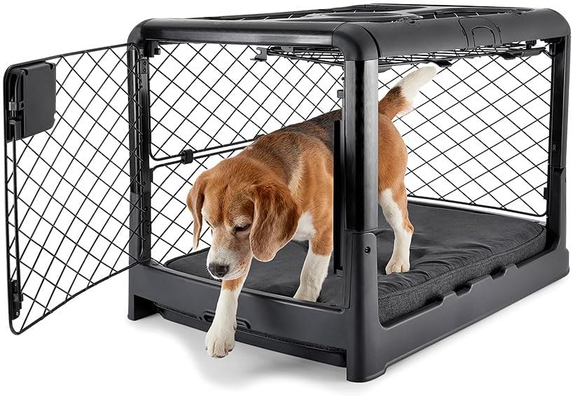 DIGGS Revol Collapsible Dog Crate with Wheels - Premium Portable Dog Crate - Safe, Stylish, and Convenient Indoor Kennel (Charcoal, Medium)