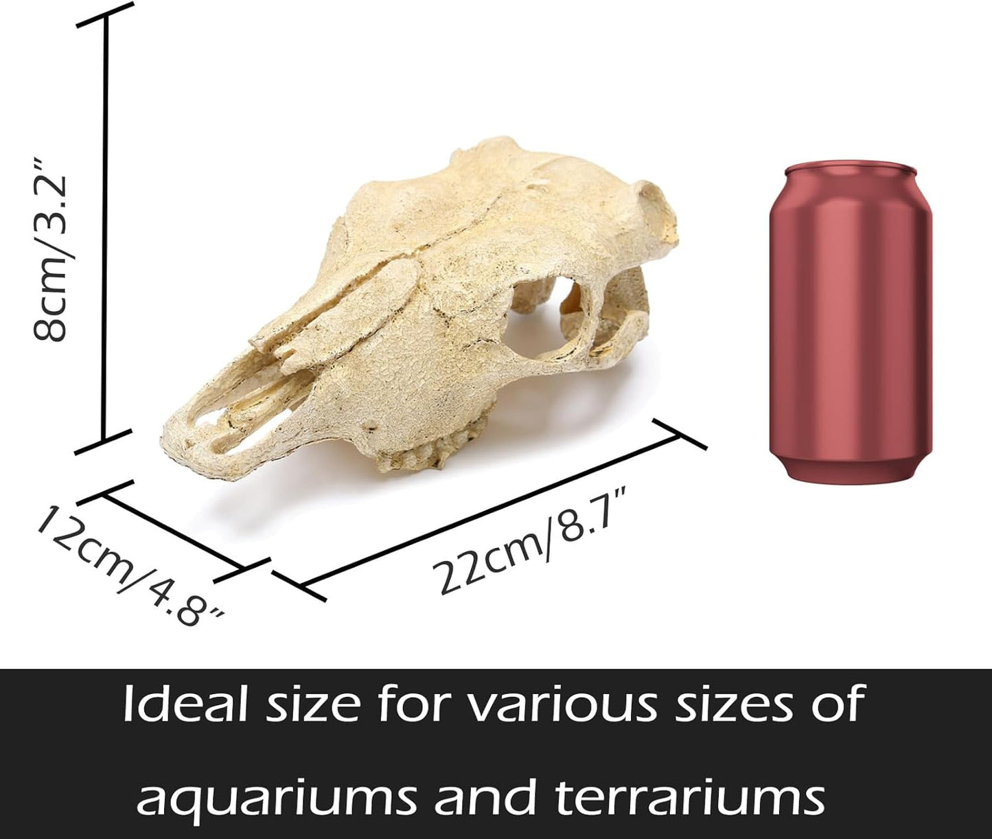 Aquarium Skull Décor Fish Hideout Cave Decorations Betta Tarantula Reptile Snake for Terrarium Ornament Dinosaur Animal Large Bones Halloween