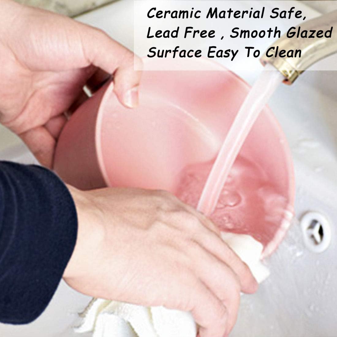 Petygooing Ceramic Cat Dog Bowl Set with Stand,Pink Pet Food and Water Dish,Small Dog Bowls Anti Slip Set of 2 Cat Bowls Pet Food Dishes Pet Bowl Small Size Pet (13.5OZ/5.1 in)