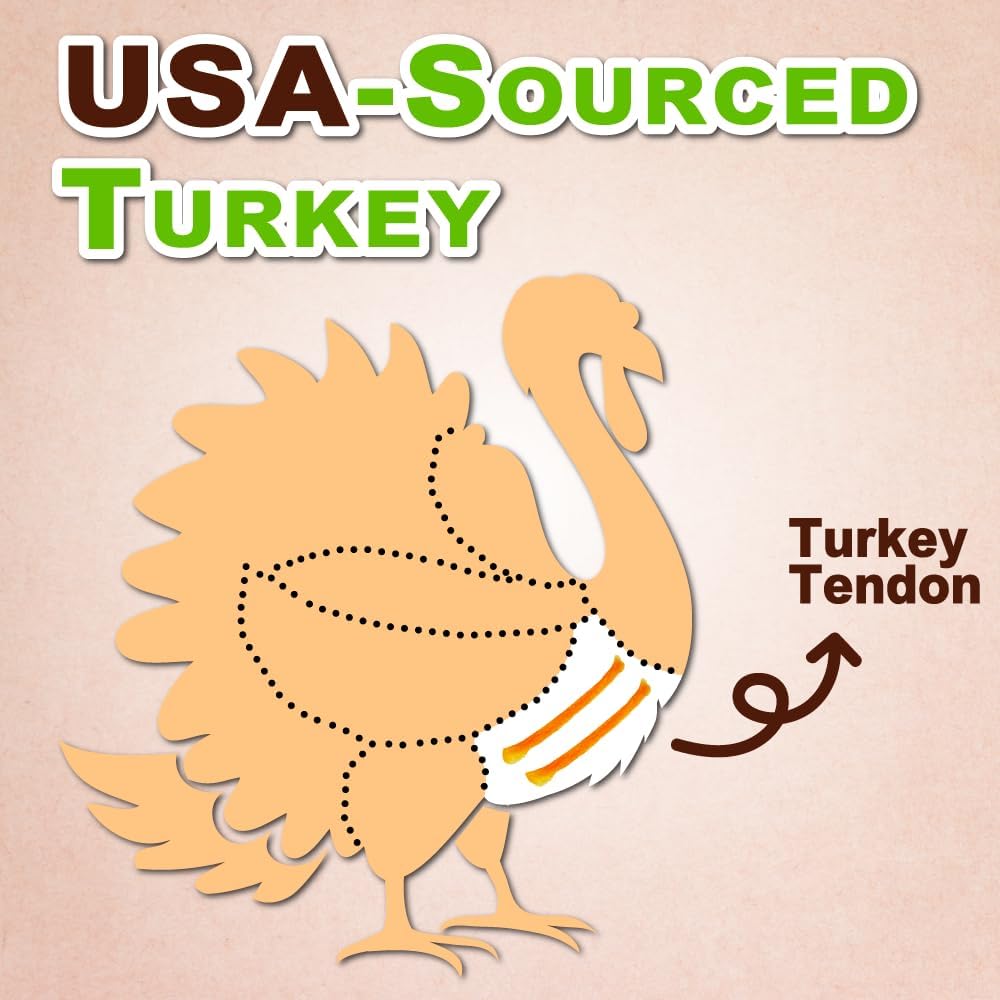 AFreschi Turkey Tendons for Dogs, USA-Sourced, Healthy Dog Treats, Rawhide-Free Puppy Chews, Long Lasting, All Natural, Hypoallergenic Dog Treats, Classic Series, Coil (S), 3 oz Pack