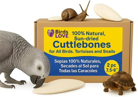 Birds LOVE 2 pc 7.5–8″ Sun-Dried Natural Cuttlebone Kit | 100 % Pure Calcium Supplement for Birds, Tortoises, Snails & Crabs | Beak & Shell Health with Metal Holder