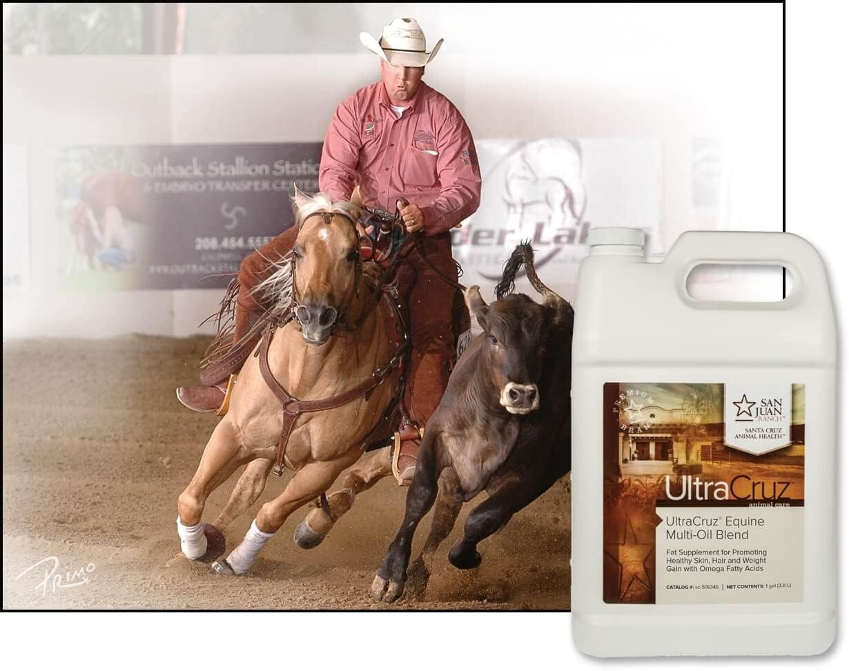 UltraCruz® Equine Multi-Oil Blend, 4 x 1 gal