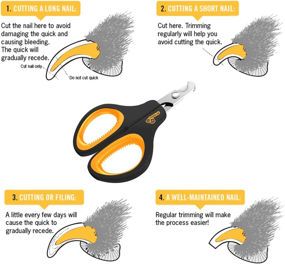 Cat Nail Clipper - Professional Cat Claw trimmer & Cat Claw Clipper - Cat Nail Trimmers Suits All Small Animals such as Dogs, Cats, Puppies, Kittens, Birds, Hedgehogs, ferrets, rabbits, hamsters ..