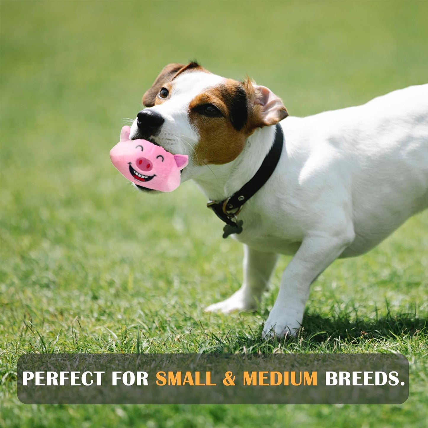 Jalousie 3 in 1 Dog Squeaky Toy, Three Dog Toys in One for Aggressive Chewers - Interactive Chew Toy for Medium Dogs, Large Breeds and Small Breeds - Squeaky Spiky TPR Ball Inside (Lion N' Piggy)