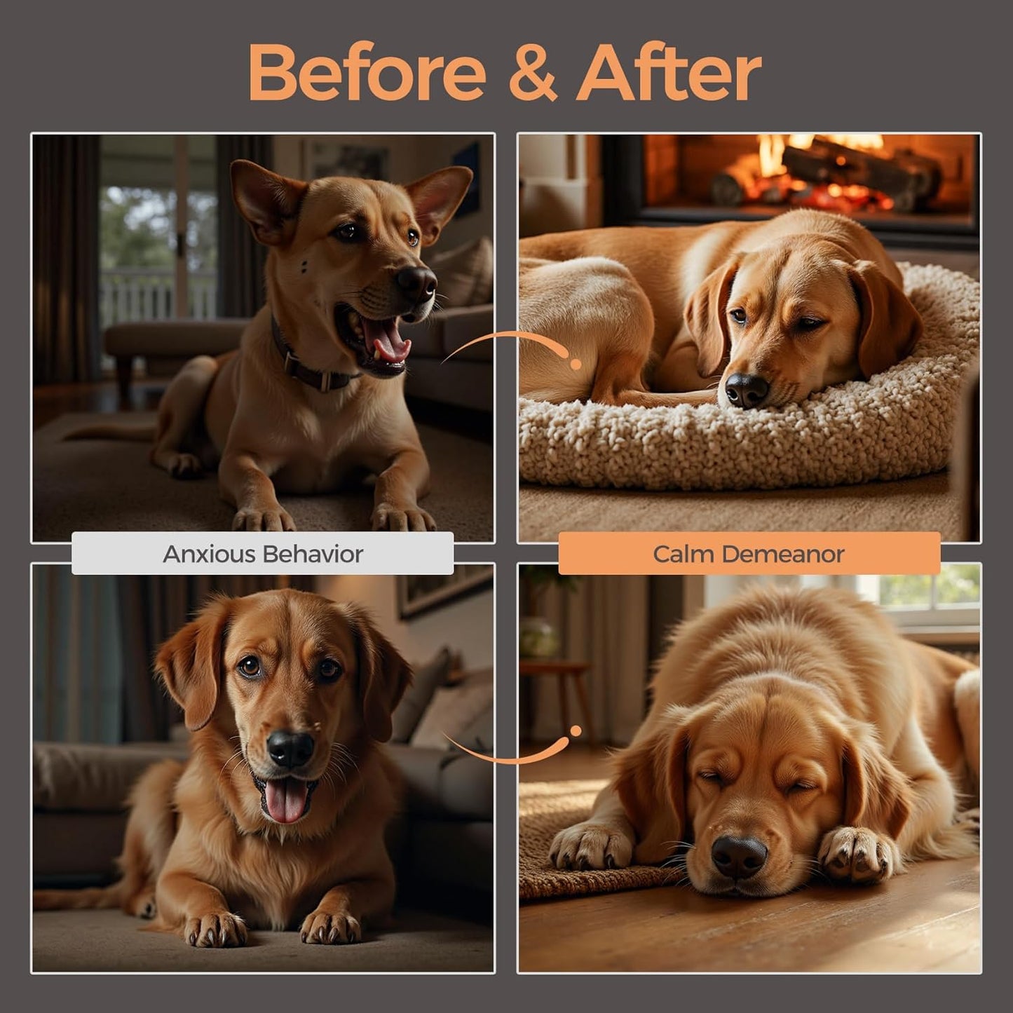 Calming Chews for Dogs with Melatonin Dog Calming Treats - Anxiety and Stress Relief Treats Melatonin Bites Sleep Aid for Small/Medium/Large Dogs Chicken Flavor-300g