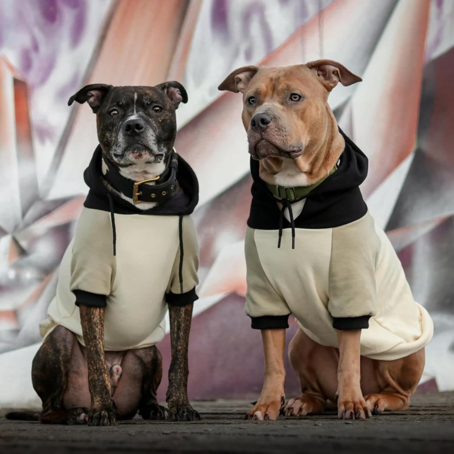 Spark Paws Dog Hoodie – Premium Dog Sweater for Small, Medium, and Large Dogs | Warm Outfits for French Bulldogs, Pitbull, Puppy, Winter Jacket Alternative - Olive Cream - L