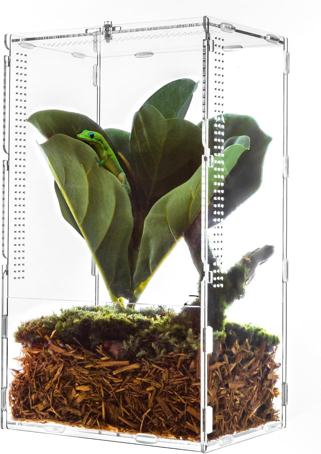 REPTI ZOO Large Tarantula Enclosure Spider Enclosure 14" X 8" X 6", 2 in 1 Acrylic Aboreal Breeding Box for Mantis Snail or Terrestrial Breeding Box for Cricket Jumping Spiders Tarantula