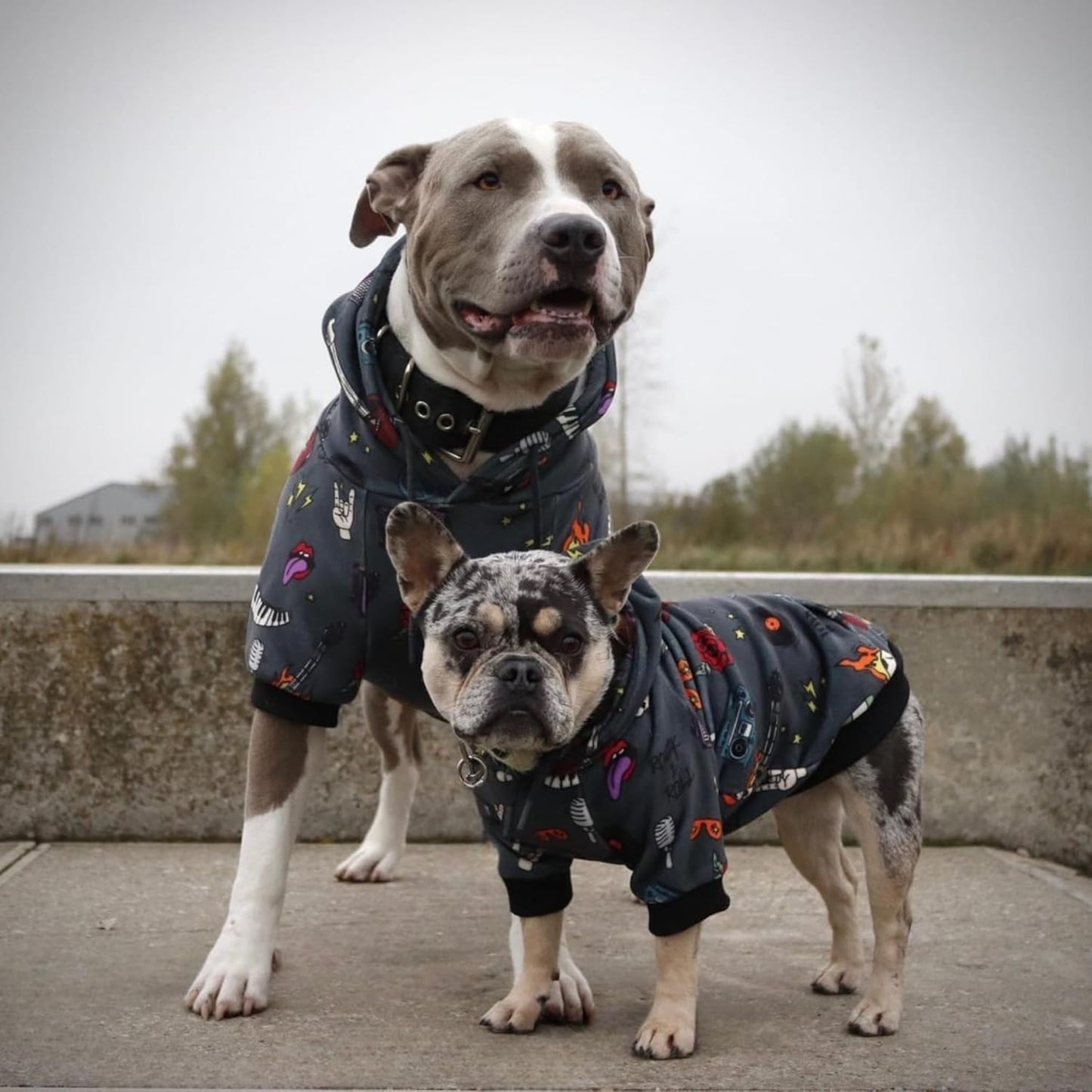 Spark Paws Dog Hoodie – Premium Dog Sweater for Small, Medium, and Large Dogs | Warm Outfits for French Bulldogs, Pitbull, Puppy, Winter Jacket Alternative - Rock and Roll - M