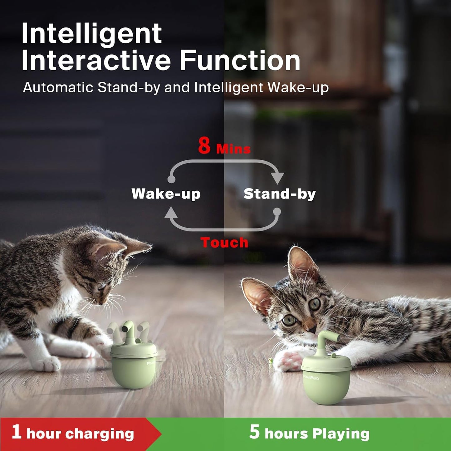 Cat Laser Toys, Automatic Cat Laser Toy Tumbler Design, Rechargeable Cat Laser Pointer 360°Irregular Rotation, 3 Modes Interactive Cat Toy for Indoor Cats of All Ages and Sizes (Green)