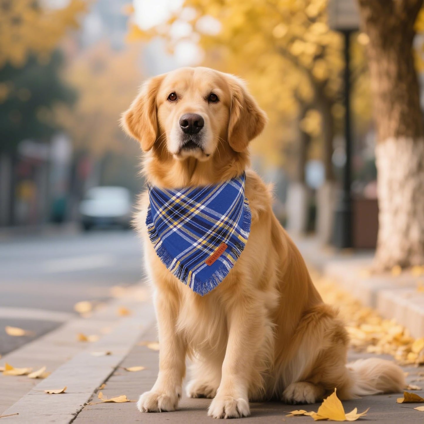 ADOGGYGO Dog Bandanas Boy with Tassels Edges, Stylish Blue Plaid Pet Scarf, Soft Cotton Fabric, Adjustable Reversible Plaid Bandanas for Extra Large Dogs (X-Large)