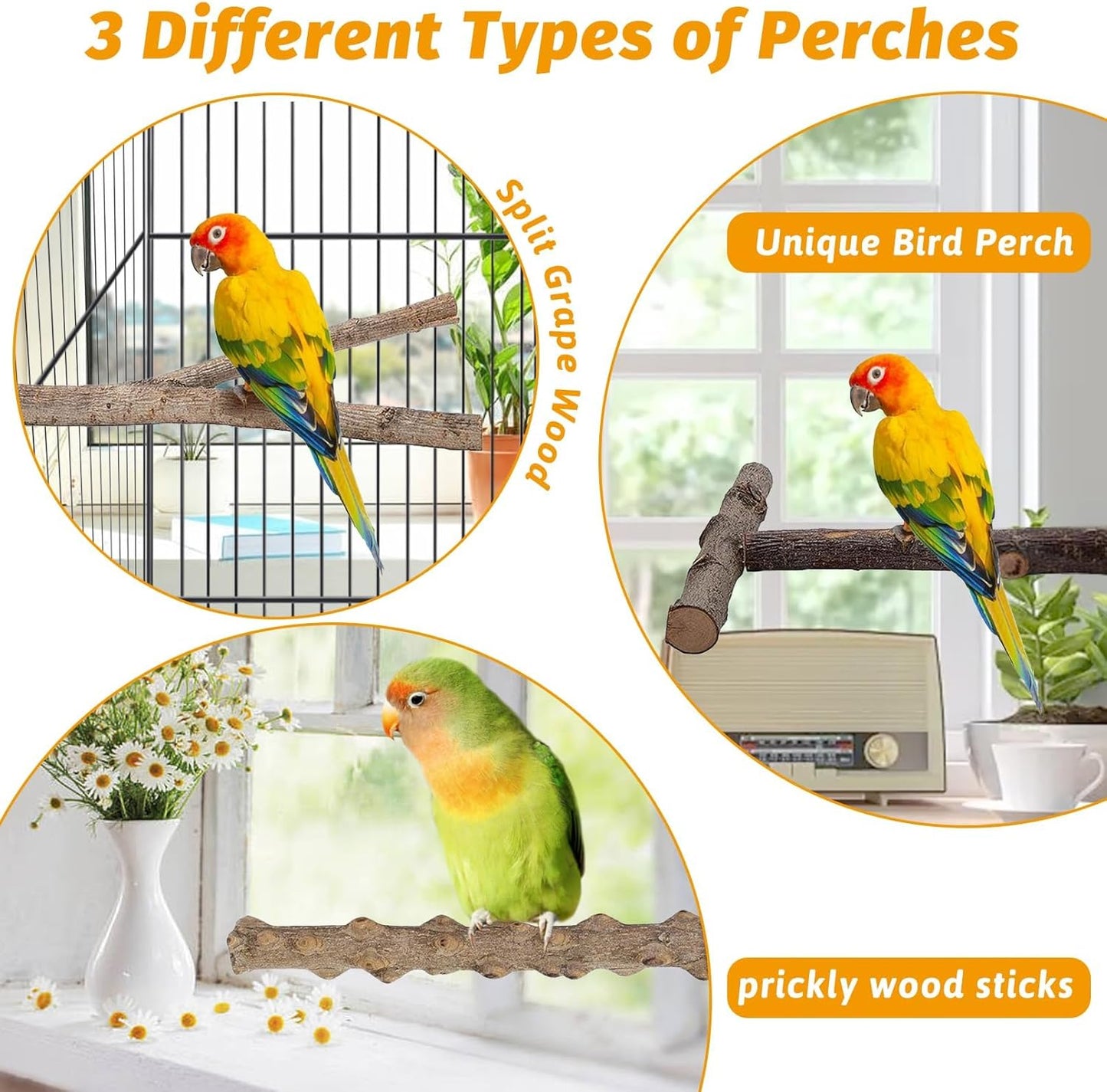 kathson 5pcs Natural Parrot Perch for Cage Wooden Bird Perches Grape Bird Stick Parakeet Climbing Standing Branches Toy Chewable Cage Accessories for Small Budgies Cockatiels Lovebirds Budgies