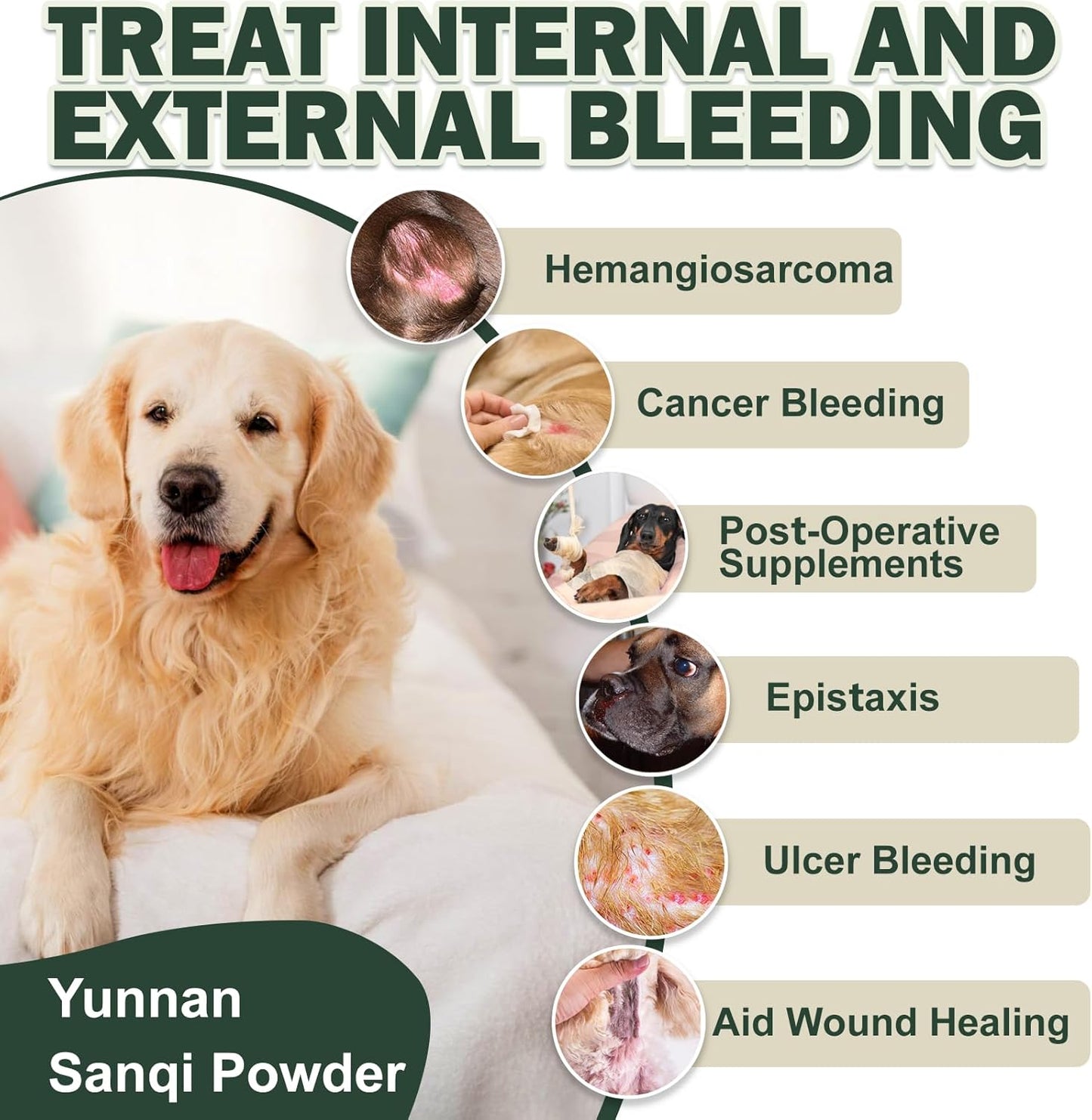 Quick Stop Bleeding for Dogs, Yunnan Sanqi Powder for Hemangiosarcoma, Hemoabdomen, Pericardial Effusion, Cancer Bleeding, Severe Bruising, Blood Support for Dogs, 100g