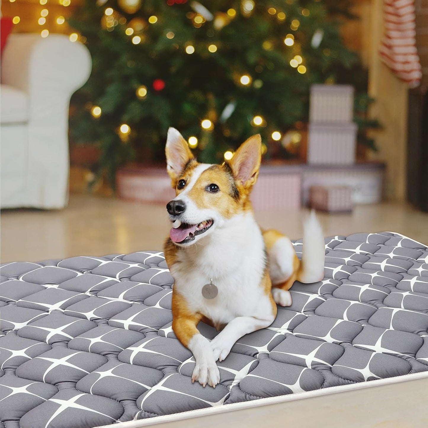 Bubble bear Dog Crate Mat - Ultra Soft, Washable & Anti-Slip Kennel Pad for Small/Medium/Large Dogs, Dark-Hued to Hide Stains (52"x28")