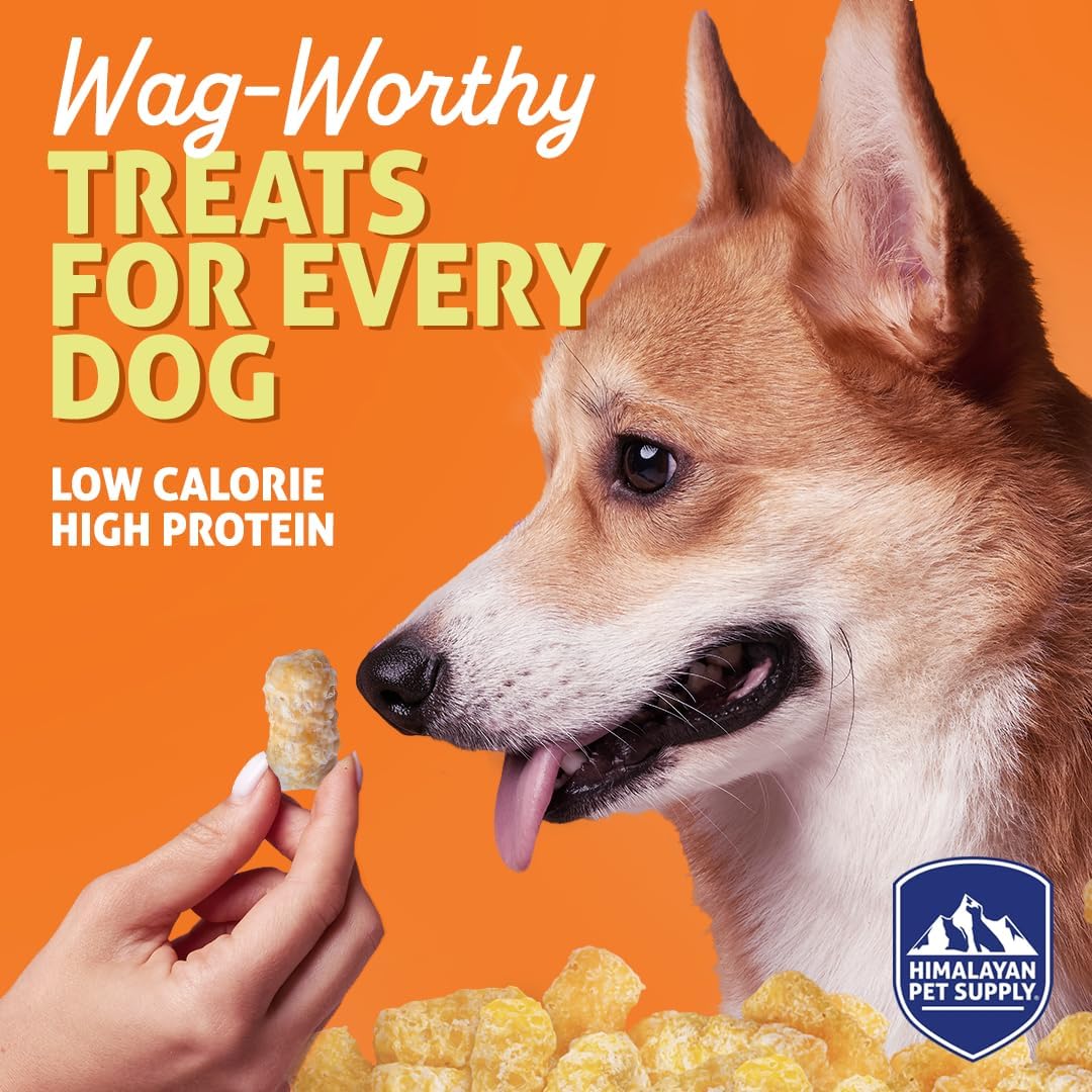 Barkeetos Dog Treats, Crunchy and Cheesy Pet Snacks Made with Real Himalayan Cheese and Bacon, Gluten Free, Grain Free, Lactose Free, Natural Dog Food for All Breeds and Sizes - 3 Pack