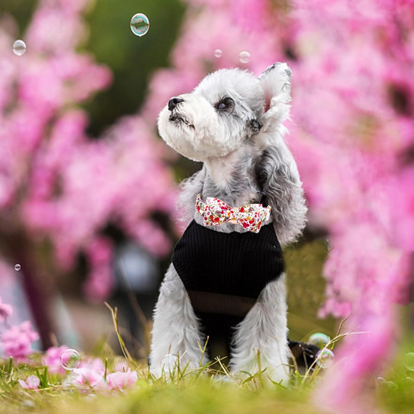 Elegant little tail Dog Collar, Pink Rose Print Pet Collar Summer Dog Collar Durable Metal Buckle Dog Collars Cotton Pet Adjustable Dog Collars for Medium Dogs