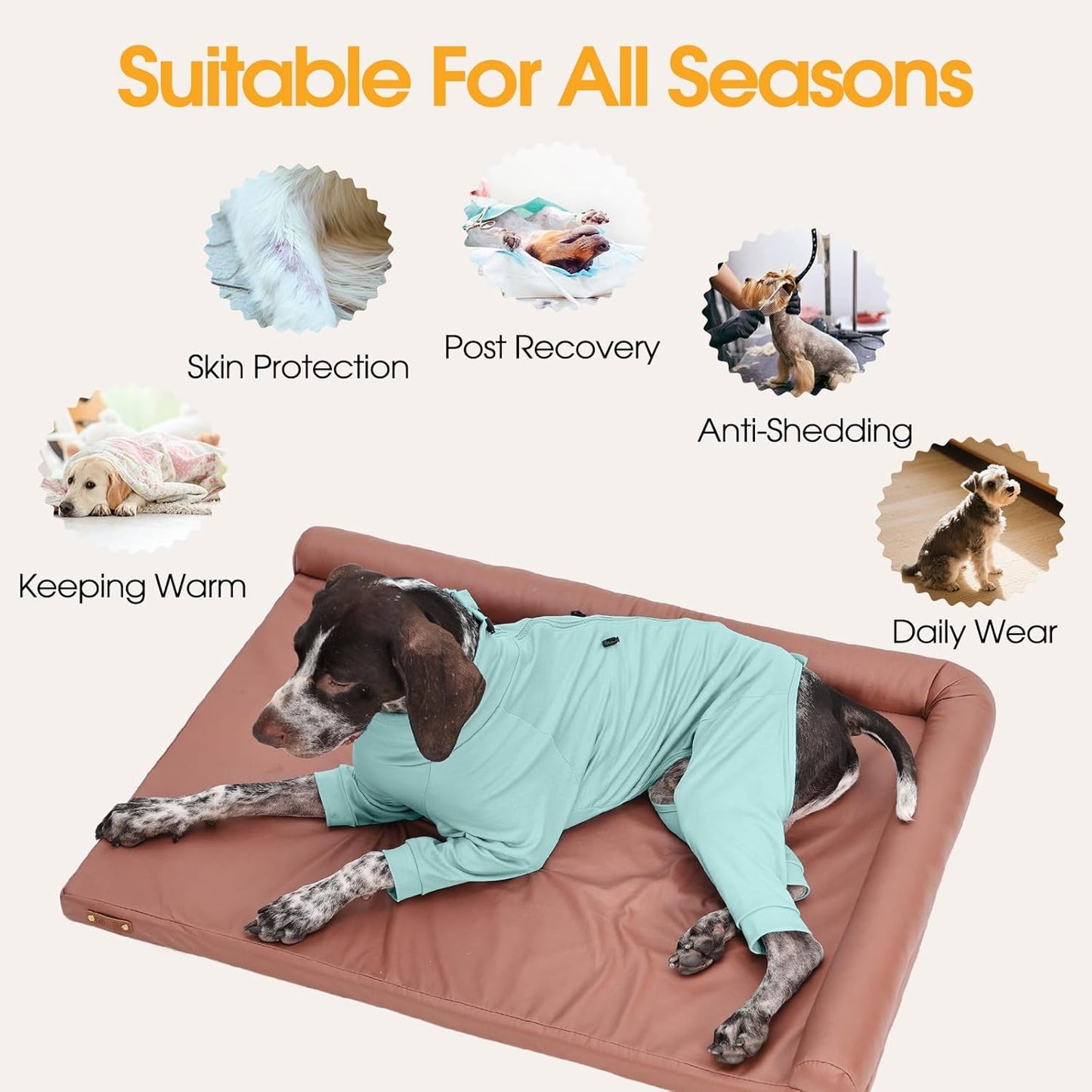 Dog Pajamas with Zipper Back, Adjustable Long Sleeve Pjs for Small Dogs, Anti-Licking Recovery Suit for Dogs After Surgery, Comfy Pet Onesie Outfit for Cocker Spaniel, French Bulldog, Green M