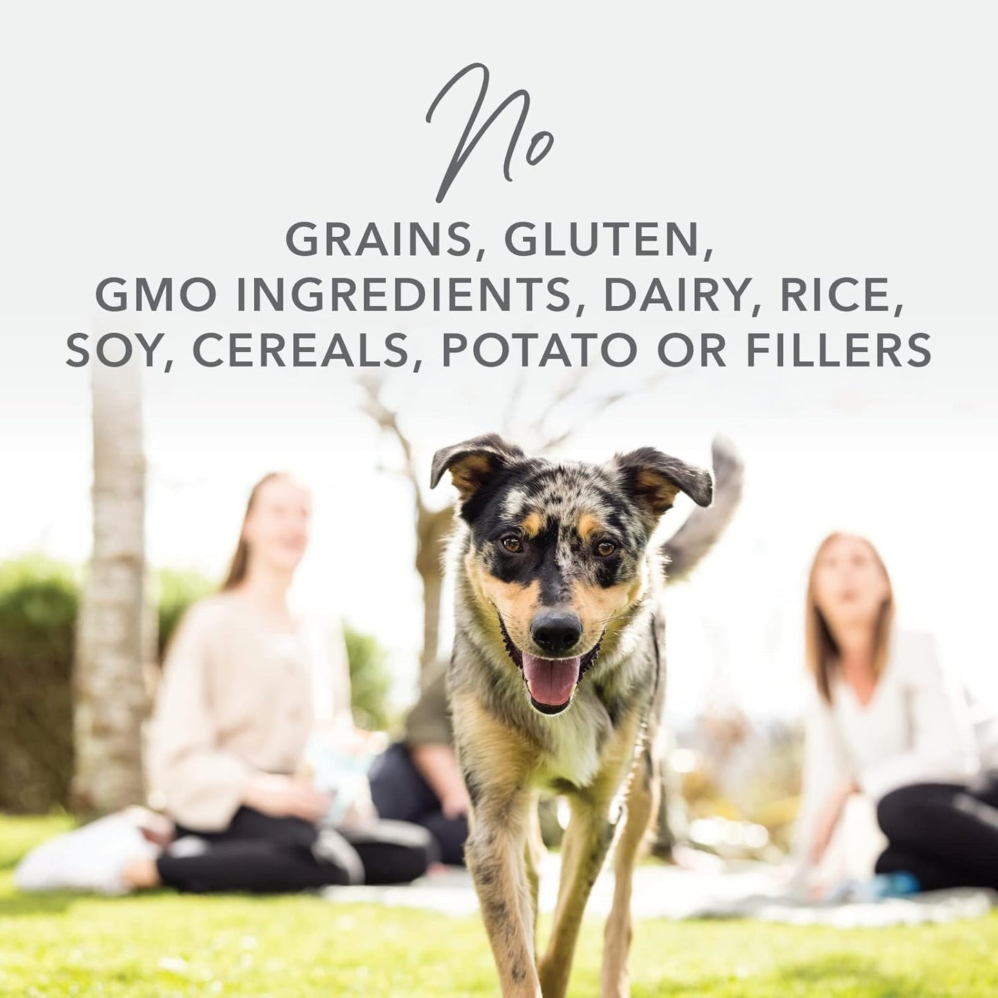 K9 Natural - Grain Free Freeze Dried Dog Food Topper - Lamb & Salmon, 3.5oz