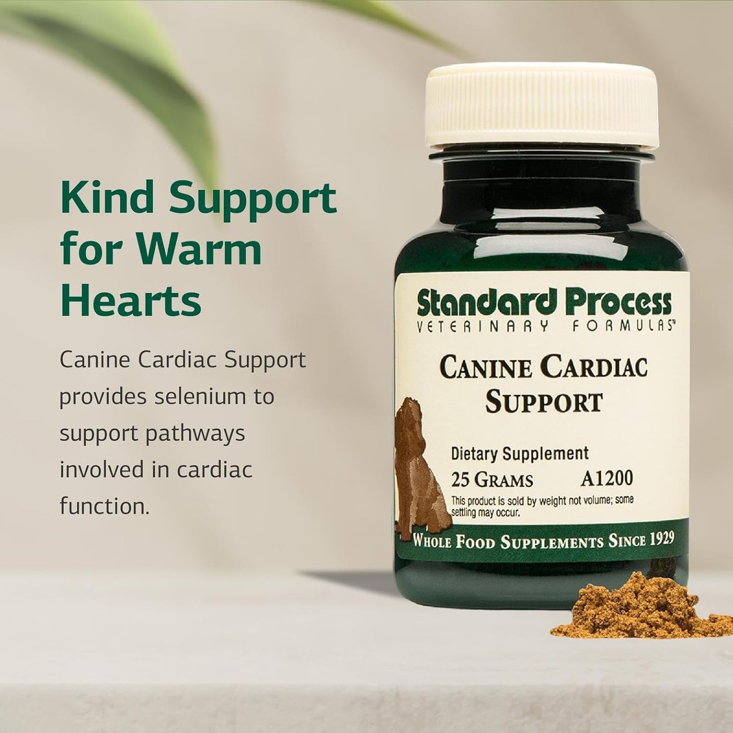 Standard Process Inc. Canine Cardiac Support - Dog Heart Health Supplement - Nutritional Formula to Support Cardiac Function - Pet Health Supplement with Selenium - 25 g