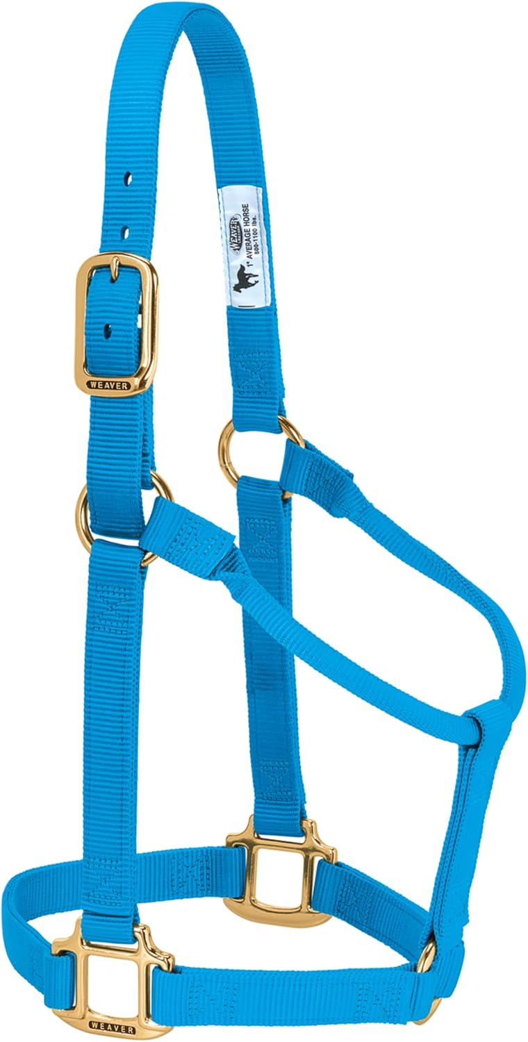 Weaver Equine Nylon Horse Halter, Triple-Ply Cheek Design, Original Non Adjustable Halters for Horses, Equine Tack,Average Size, Black