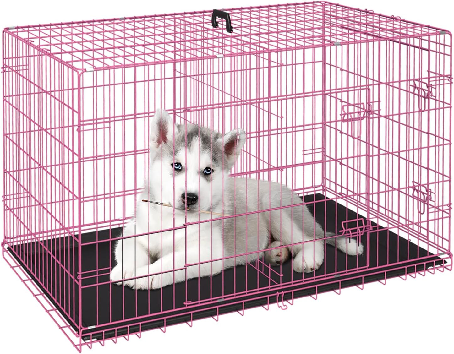 FDW Dog Crate for Small Dogs 24 Inch Folding Metal WirePet Cage Double Door W/Divider Panel Indoor Outdoor Kennel Leak-Proof Plastic Tray,Pink