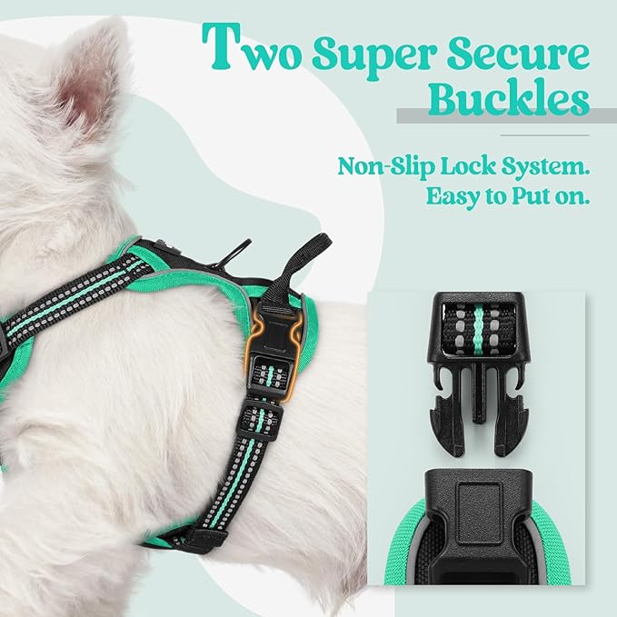 rabbitgoo Dog Harness No Pull with 2 Leash Clips, Adjustable Soft Padded, Reflective Oxford No Choke Pet Vest with Easy Control Handle for Puppy, Black & Turquoise, XS