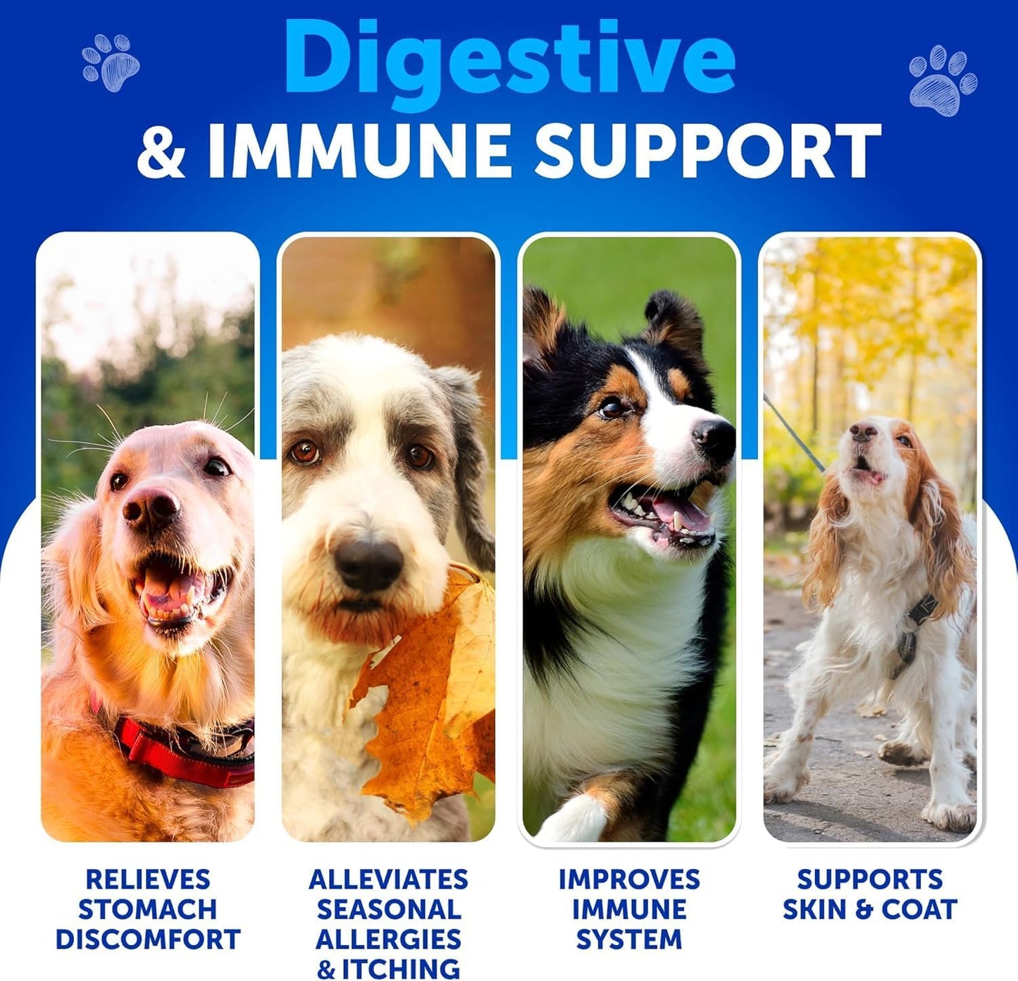 Probiotics for Dogs - Support Gut Health, Itchy Skin, Allergies, Immunity, Yeast Balance - Dog Probiotics and Digestive Enzymes with Prebiotics - Reduce Diarrhea, Gas - 70 Probiotic Chews for Dogs