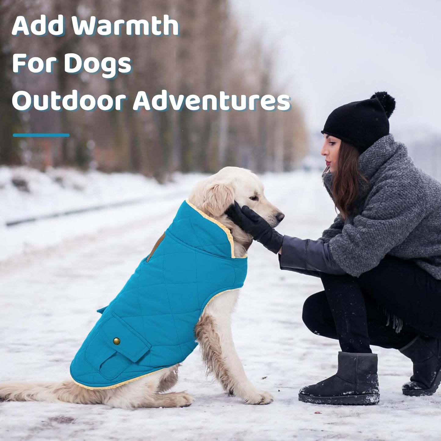 Queenmore Dog Winter Coat Warm Puffer Jacket Waterproof Plush Lining Thermal Cold Weather Vest for Small Medium Large Dogs, Windproof Easy On Pet Jacket Blue XS