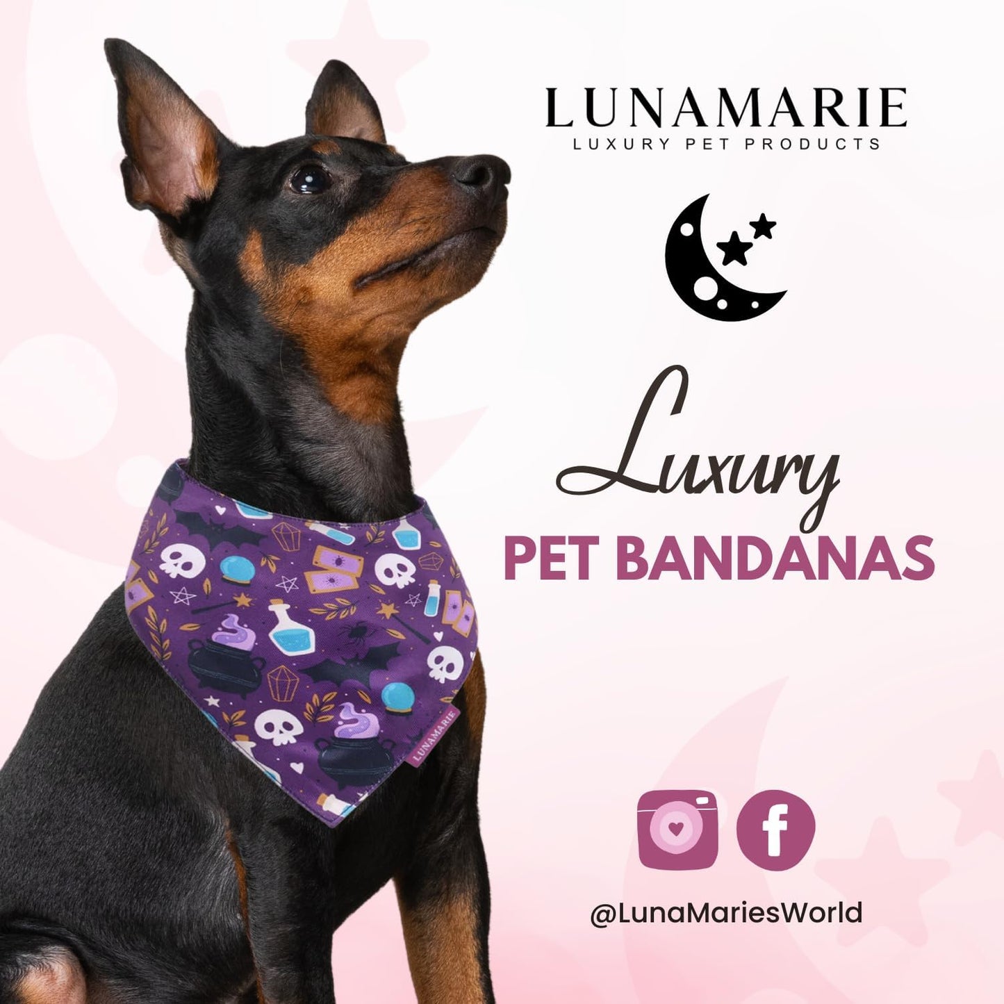 LunaMarie - Luxury Dog Bandanas - Cute Witch Magic Design | Premium & Silky Fabric | 100% Handmade | Custom Shape Dual Layered Reversible Small, Medium, Large Cat Scarf (Bewitched, Medium)