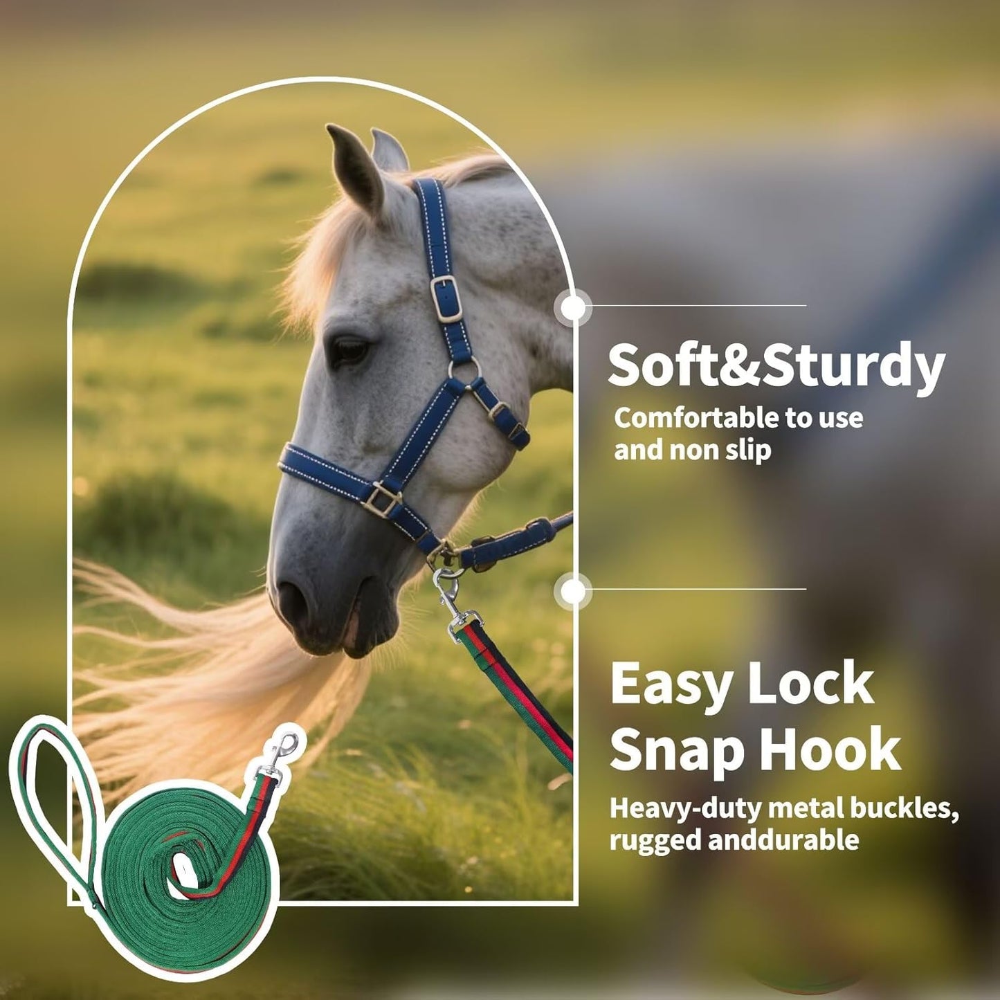 Lunge Line for Horse, Premium Equine Lunge Line with Swivel Bolt Snap for Accurate Equestrian Training, Competition, and Daily Use, 26 ft (8 Meters)