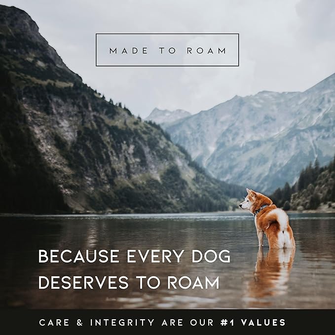 MADE TO ROAM Premium Explorer Harness - Y-Shaped Dog Harness with Adjustable Durable Nylon, Soft Padding, Metal Buckles and Leather Handle for Small, Medium, Large Dogs (Oregon Haze, Size 3)