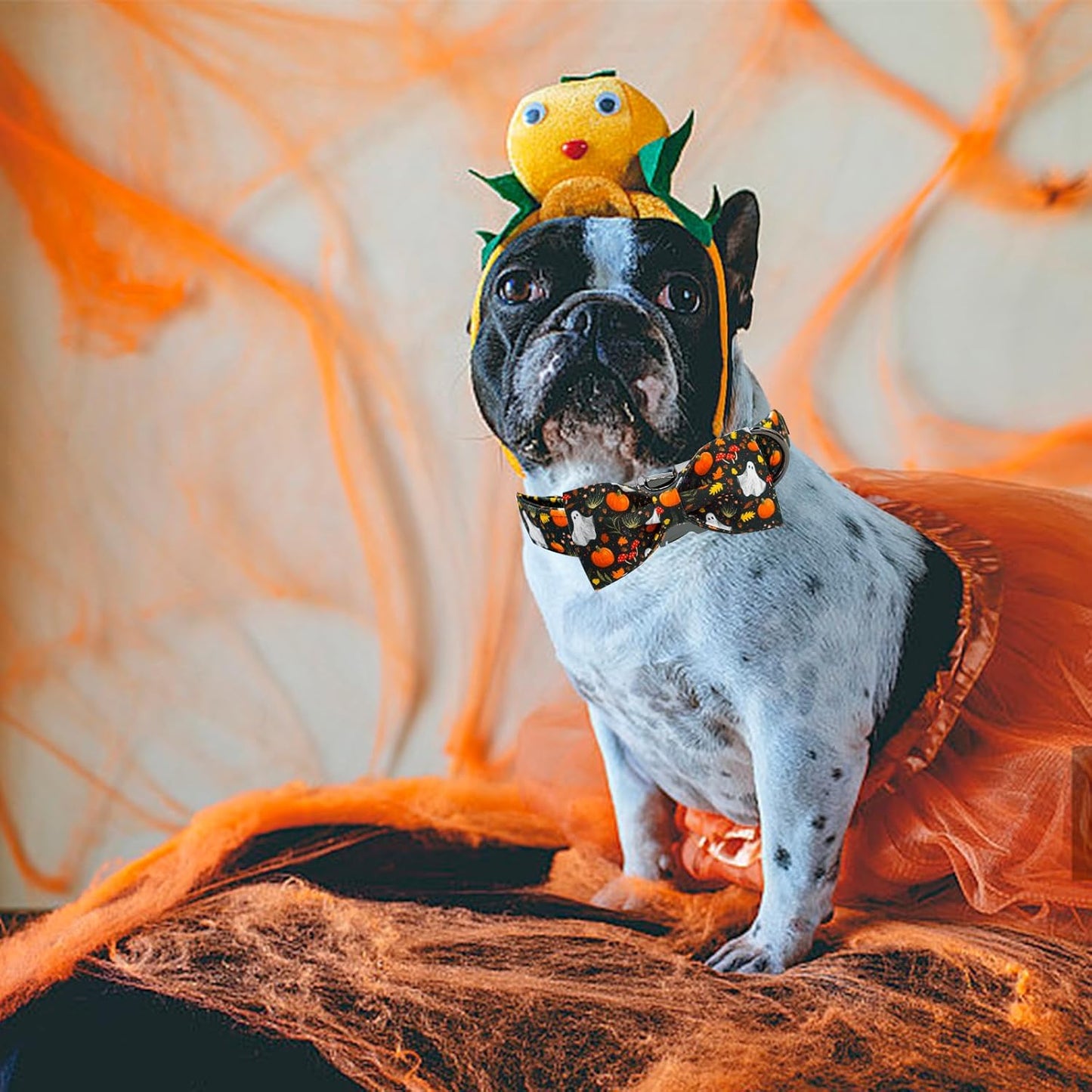 Elegant little tail Fall Dog Collars, Ghosts Pumpkin Print Halloween Pet Collar Puppy Male Cotton Dog Collar with Bow Adjustable Collars for Small Medium Large Dogs