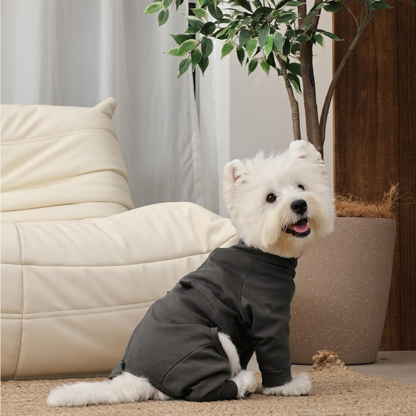 Dog Pajamas for Large Breeds with Back Zipper, Stretchy Pjs for Pets Boys & Girls, Long Sleeve Anti-Licking Recovery Suit for Dogs, Dog E-Collar Alternative for Weimaraner, Dalmatian, Grey XL