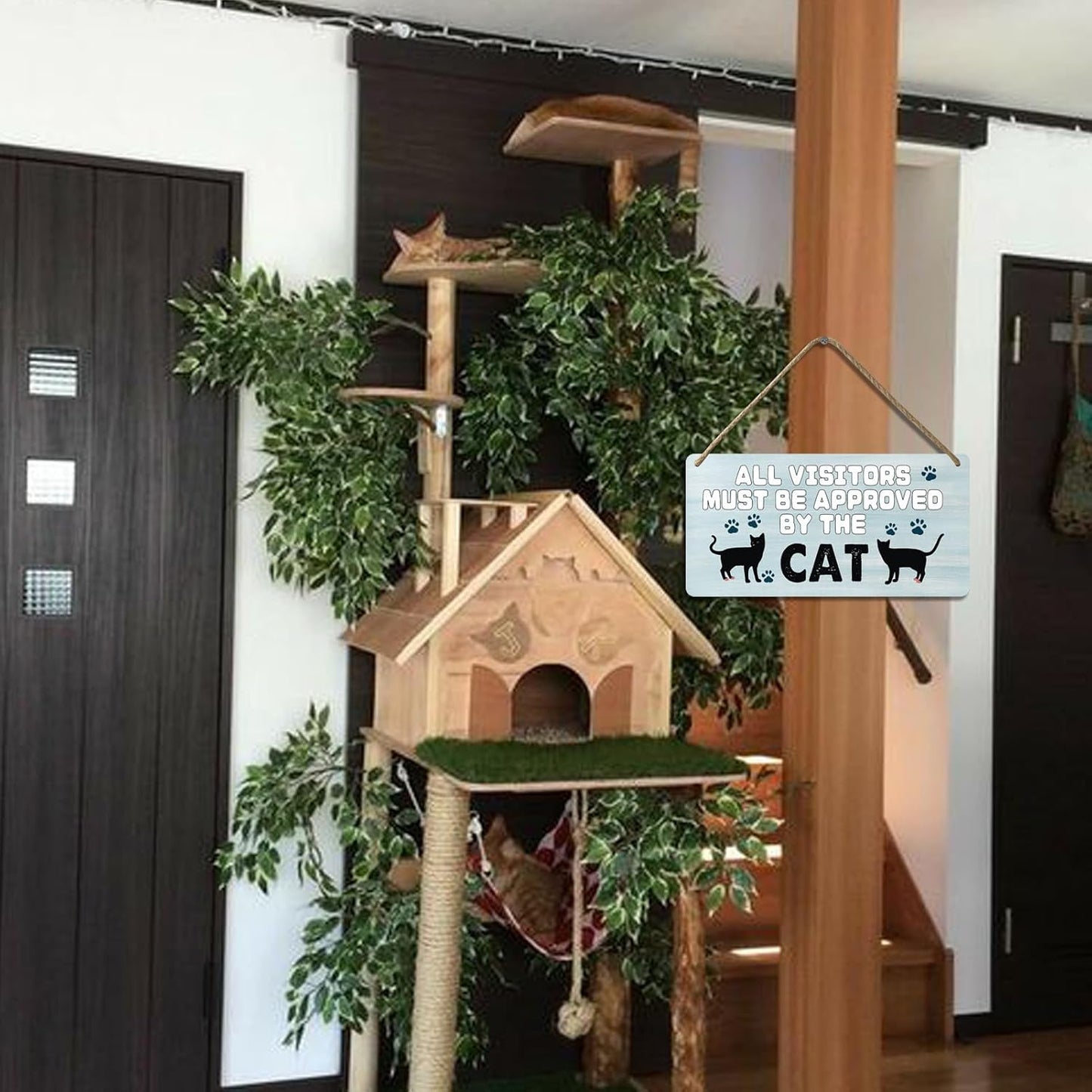 Black Cat Decor For Cat Lovers Cat Wooden Door Sign Cat Gifts For Cat Lovers Wood Cat Home Wall Decor All Visitors Must Be Approved By The Cat Signs Love Wall Decoration Cat Funny Cats Sign 12x6 In